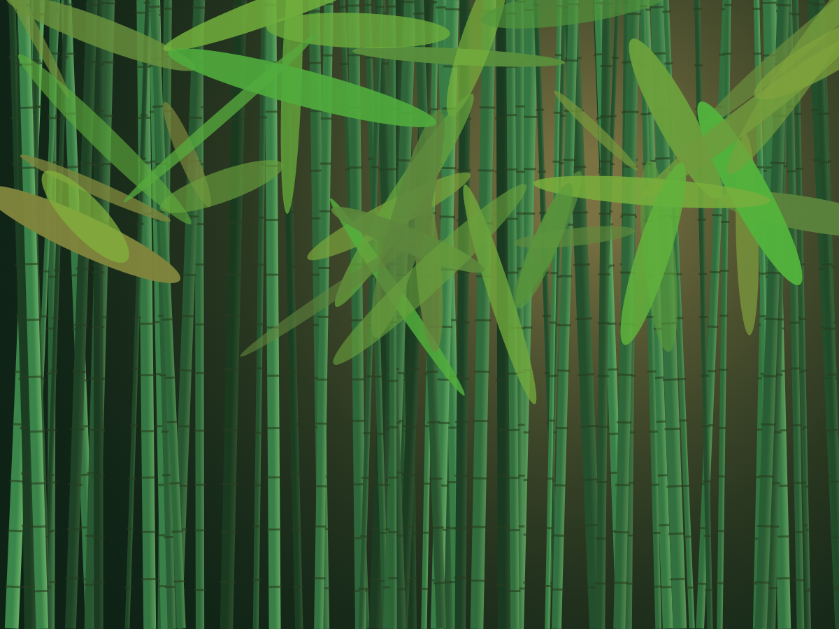 Close-up of sugarcane
