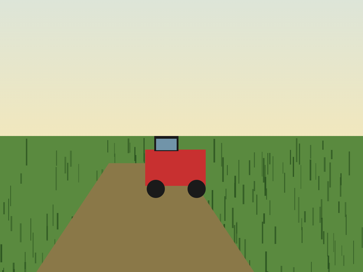 Sugarcane harvest